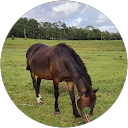 John S. profile picture